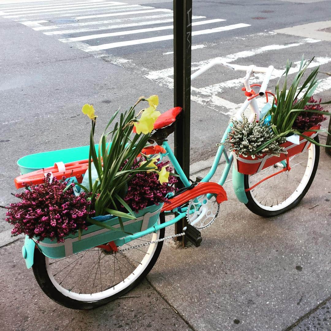 大森美希さんのインスタグラム写真 - (大森美希Instagram)「#春 #spring #printemps 🌷🌸🌼🍀☀️🚴‍♀️🌱 #nyc #nylife #flowers #fleurs #花 #自転車 #bicycle #velo #nystyle #cafe #coffeeshop #decor #plant #gardening #jardinier #ニューヨーク生活 #ニューヨークで働く #海外で働く #ニューヨークのカフェ #ガーデニング」4月5日 12時52分 - mikiomori_