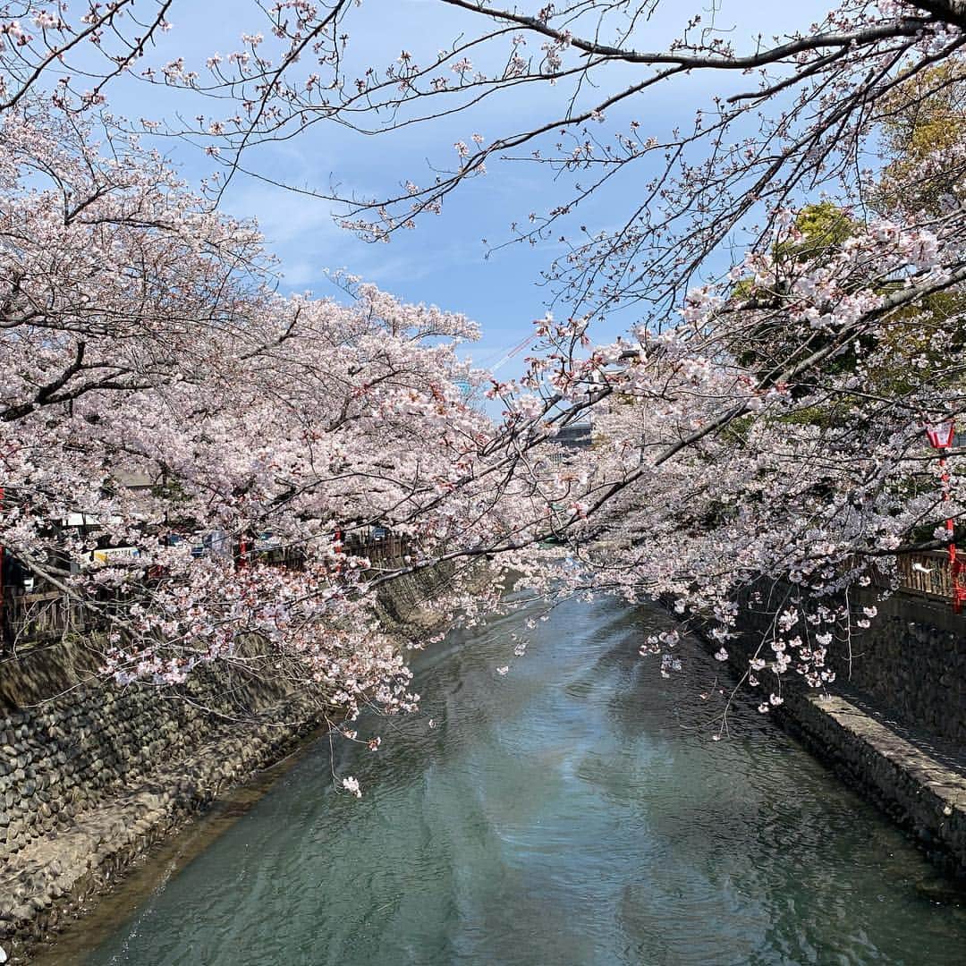Yuka Mukaibayashiさんのインスタグラム写真 - (Yuka MukaibayashiInstagram)「暖かくなりましたね！ . まさに春！ . 何故か車はまだスタッドレス履いてます . もう桜の投稿いらない？ . と思いつつ、あまりにも綺麗なのでアップしちゃいます(^.^) . やっぱり桜のバックは青空ですよね♪ . そして夜桜も＾＾ . . . 身体を整え、コリや疲れもホッと楽に . ブログとホームページはこちら ご覧ください♪ . ✨esthe Ruang ブログ https://ameblo.jp/ruang-esthe . ✨esthe Ruang HP http://ruang.jimdo.com . #水門川 #桜満開 #やっぱ青空だね #skyフェチ #エステるあん #大垣市  #ボディ #フェイシャル #プライベートサロン #完全予約制 #アンチエイジング #お客様の笑顔 #Ｏ2クラフト #ミレイ #高濃度酸素オイル #疲労回復 #小顔効果  #たるみ #疲れ #パワーレメディ #バランスリフト #肩こり #首こり #背中が重い #ボディメイク #リフトアップ #女子力アップ  #むくみ #スッキリ」4月5日 12時53分 - ruang2013510