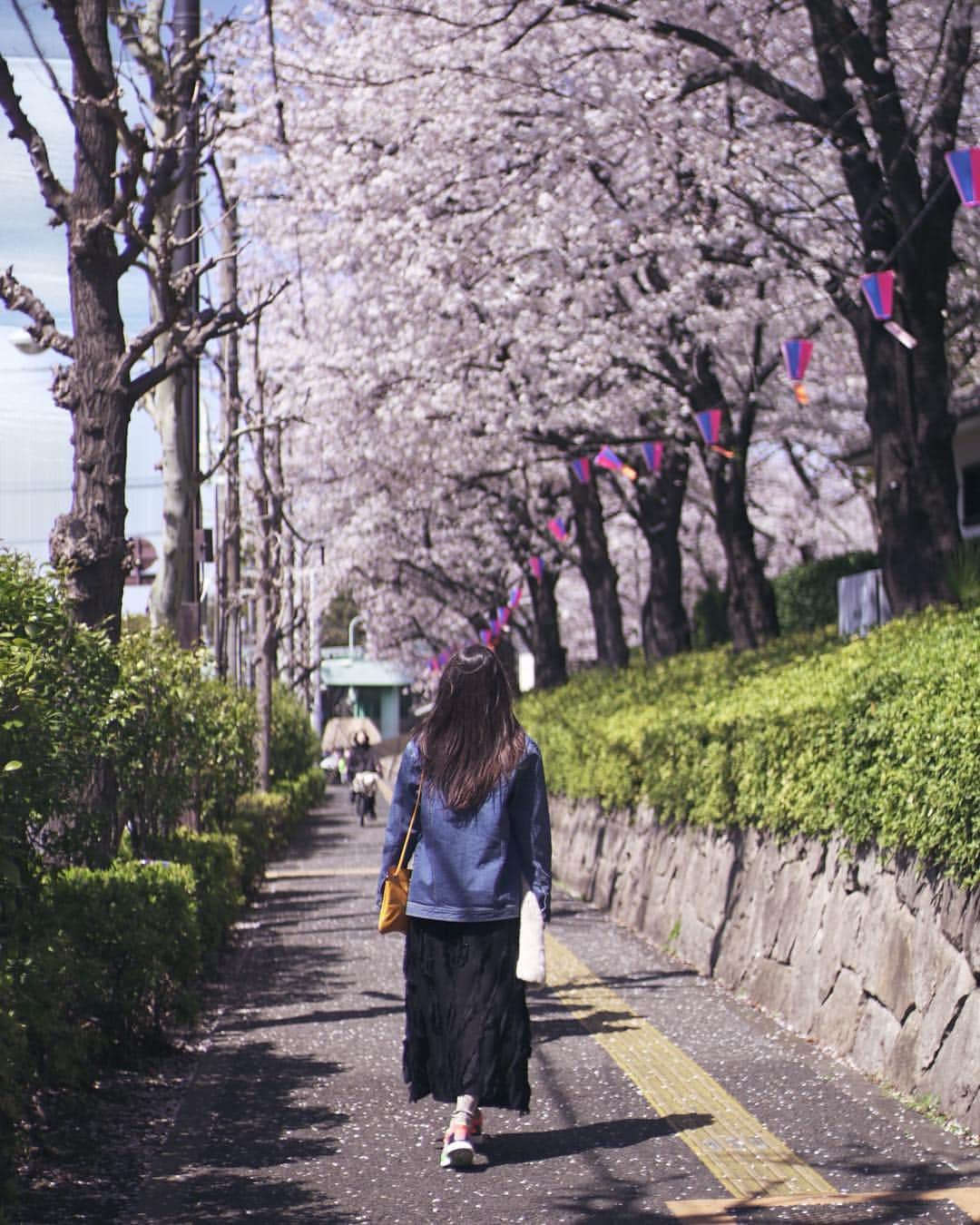 ルナ・マヤさんのインスタグラム写真 - (ルナ・マヤInstagram)「🌸SPRING🌸 a lovely reminder of how beautiful change can truly be. #sakura #springbreak #travelholic #lunamaya #tokyo 📸 @zaki_muhammad_」4月5日 13時10分 - lunamaya