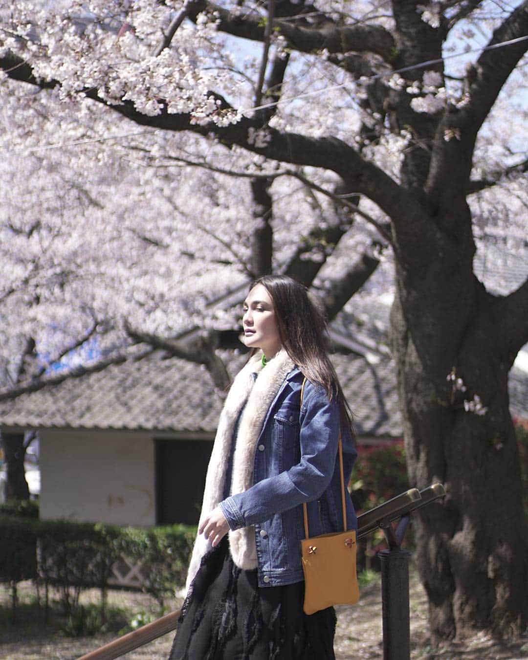 ルナ・マヤさんのインスタグラム写真 - (ルナ・マヤInstagram)「🌸SPRING🌸 a lovely reminder of how beautiful change can truly be. #sakura #springbreak #travelholic #lunamaya #tokyo 📸 @zaki_muhammad_」4月5日 13時10分 - lunamaya