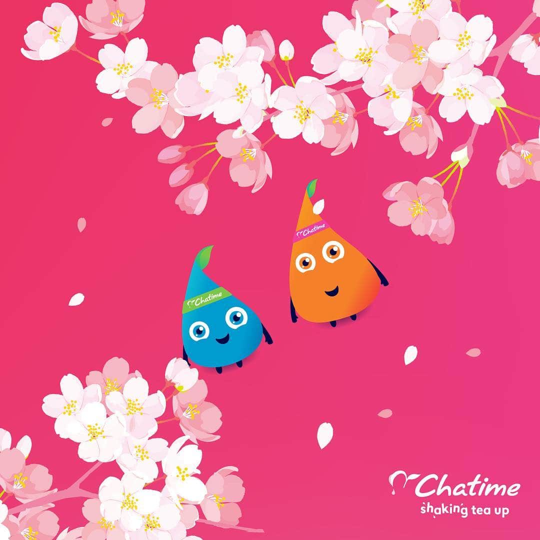 のインスタグラム：「関東は今週末まで、桜が楽しめるようです☺️ Chatimeドリンクを飲み歩きながらのお花見、とってもおすすめです👏🍡🌸 . . #スイーツ部 #台湾茶  #ginza #タピオカ #タピオカミルクティー #タピオカ巡り #cafe #tea #台湾カフェ #ドリンク #ティータイム #followme #富士見 #みなとみらい  #鎌倉カフェ #milktea #たぴおか #instafood #instagood #chatime  #大宮 #鎌倉#自由が丘 #タピオカ部 #タピオカ巡り #タピオカグラム」