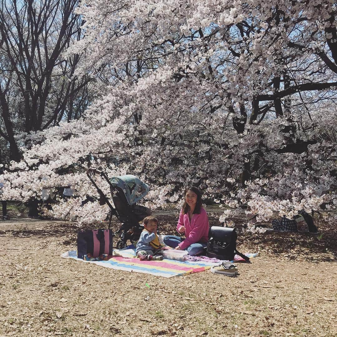 座間アキーバさんのインスタグラム写真 - (座間アキーバInstagram)「One of the best things about living in Japan お花見🌸」4月5日 13時32分 - akivaz