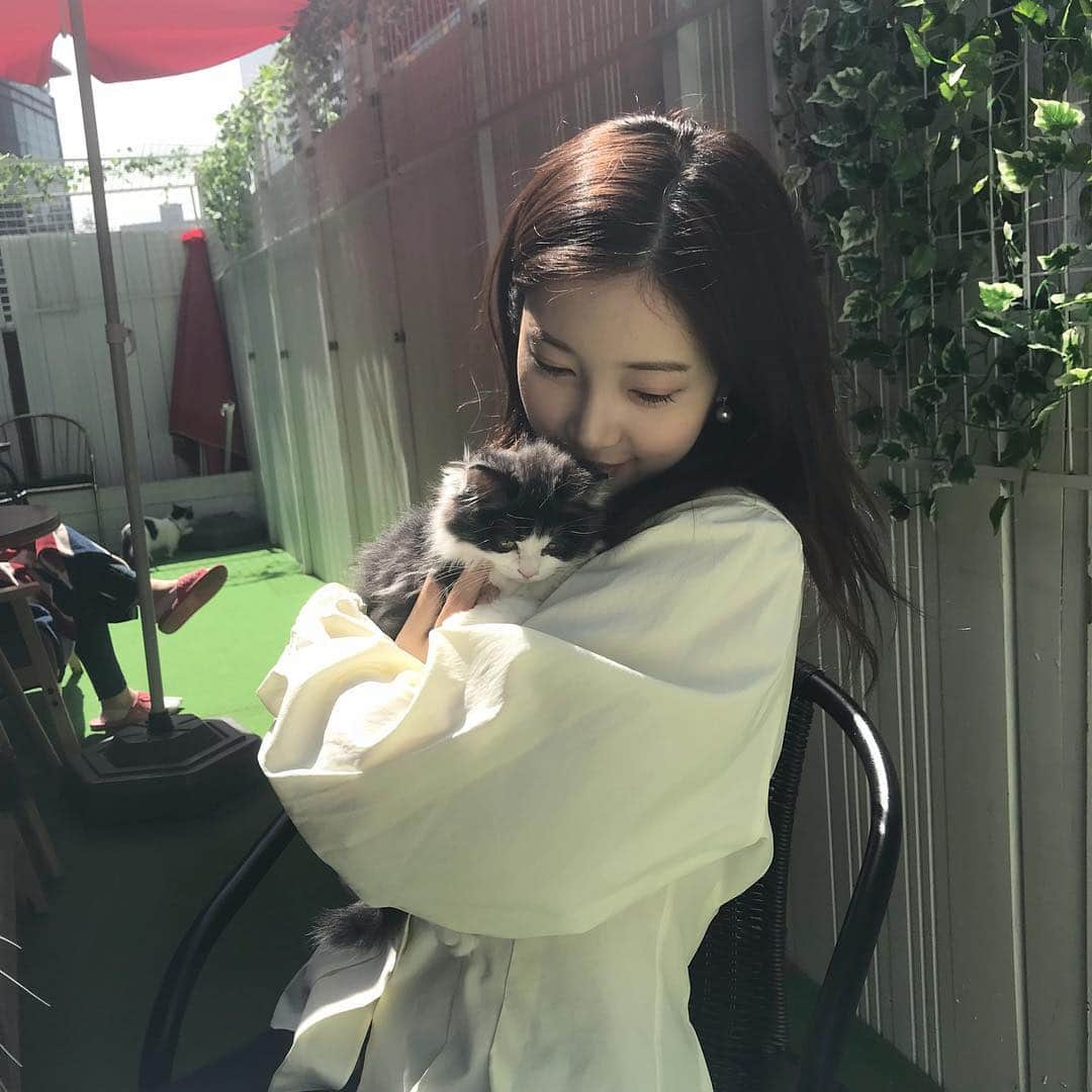 チェギョンさんのインスタグラム写真 - (チェギョンInstagram)「천사들의 집🐱❤️」4月5日 13時42分 - yunvely_0824