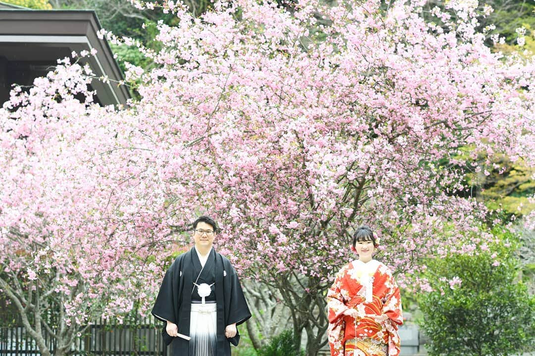 鎌倉プリンスホテル写真室_la-vie factoryのグルメインスタ