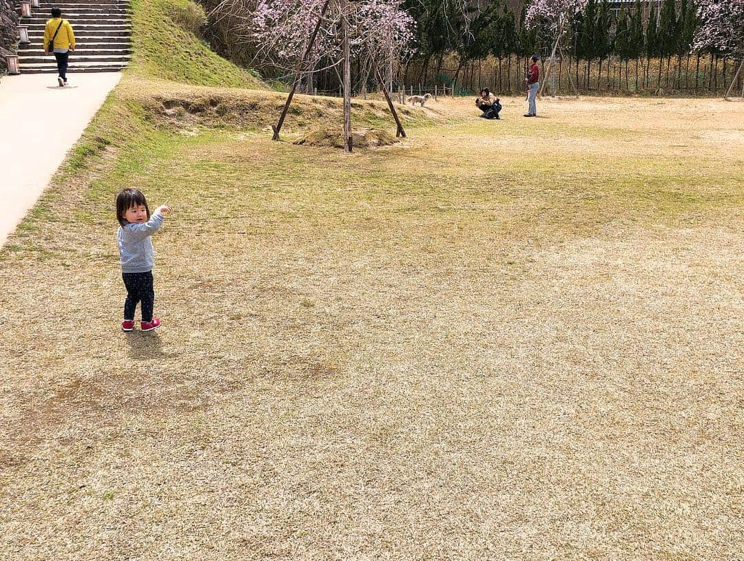 井上香織さんのインスタグラム写真 - (井上香織Instagram)「地元散策週間♡ ・ 大好きなりんどうのソフトクリーム🍦 新作が出たそうなので出石にお越しの際は是非ご賞味ください♡😆 ・ わたしはいつもバニラソフトに5食チョコ♡ 注文しなくても出してくれます😆 今日いただいた新作は苺プリン＋ソフトクリームです🍓 #出石 #城下町 #城下町出石 #りんどう」4月5日 13時50分 - kaorin888