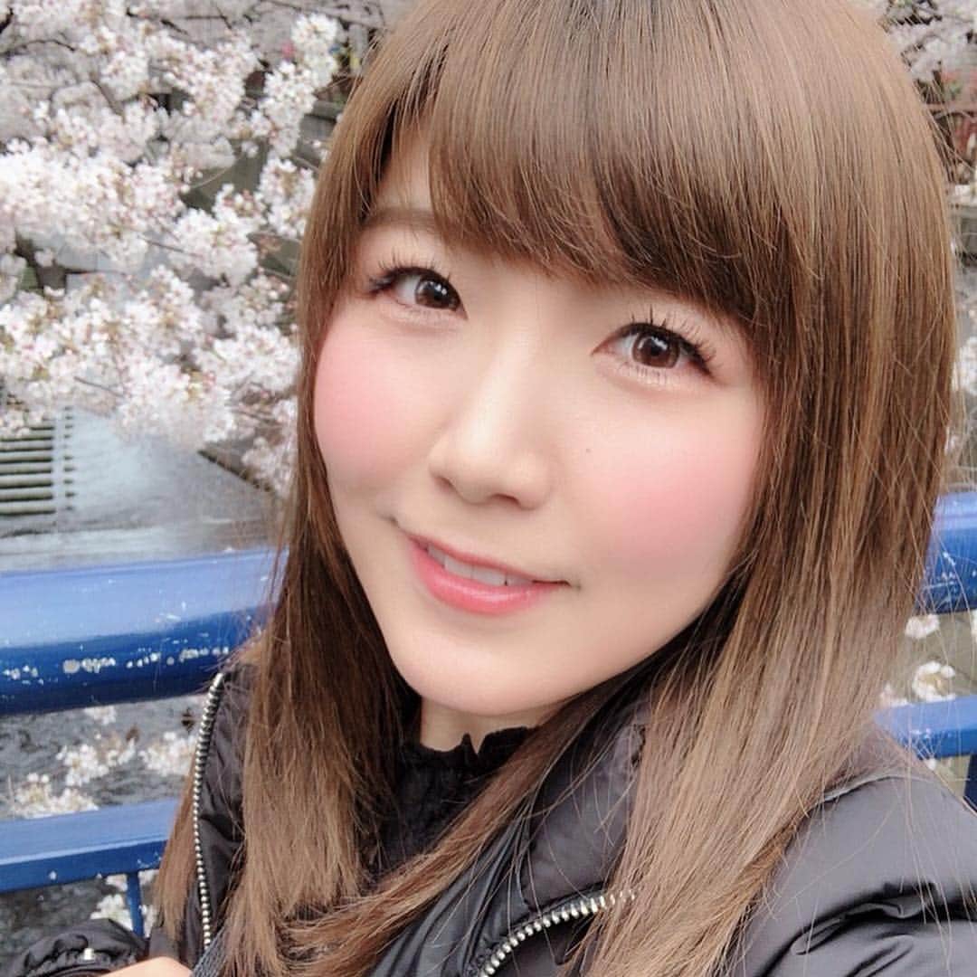 美泉咲のインスタグラム：「先日お花見した🌸✨ 今年は桜が長く楽しめて嬉しいなー☺️✨」