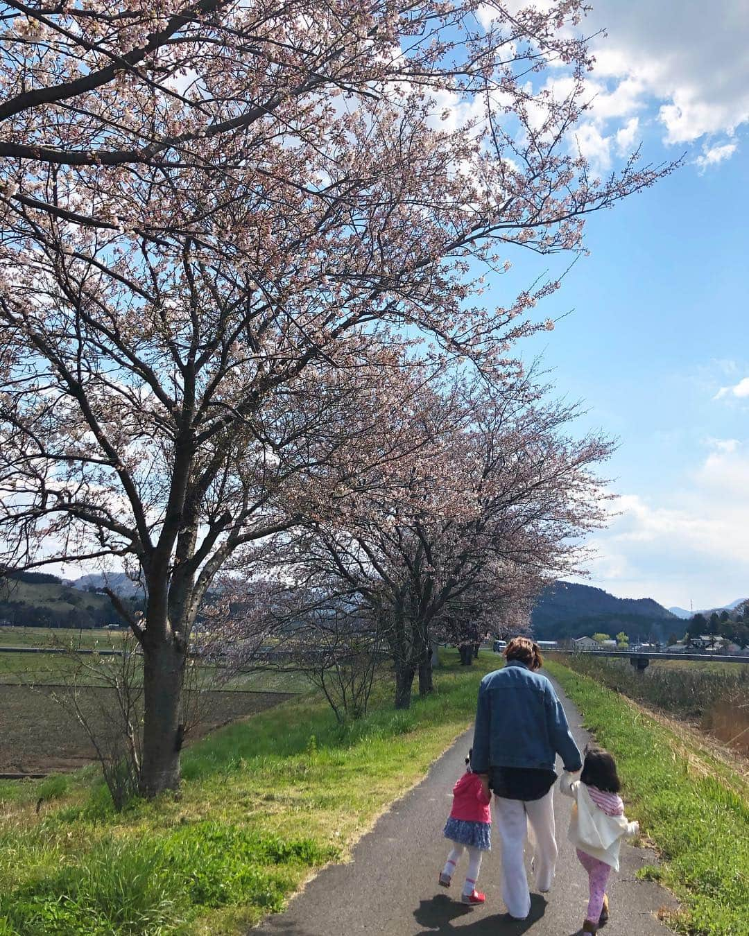 近藤夏子のインスタグラム