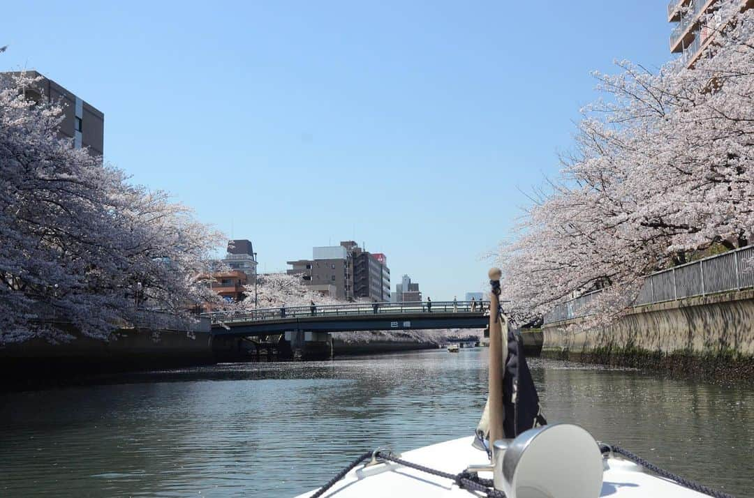 やふさんのインスタグラム写真 - (やふInstagram)「昨日の清澄白河〜日本橋までの花見舟。小名木川や大横川、佃あたりの隅田川を通って日本橋のたもとまで1時間30分。小さな電動ボートなので葉っぱの小舟に乗って漂ってる感覚でした。江戸橋ジャンクションを下から見ると大迫力」4月5日 14時07分 - kyafy