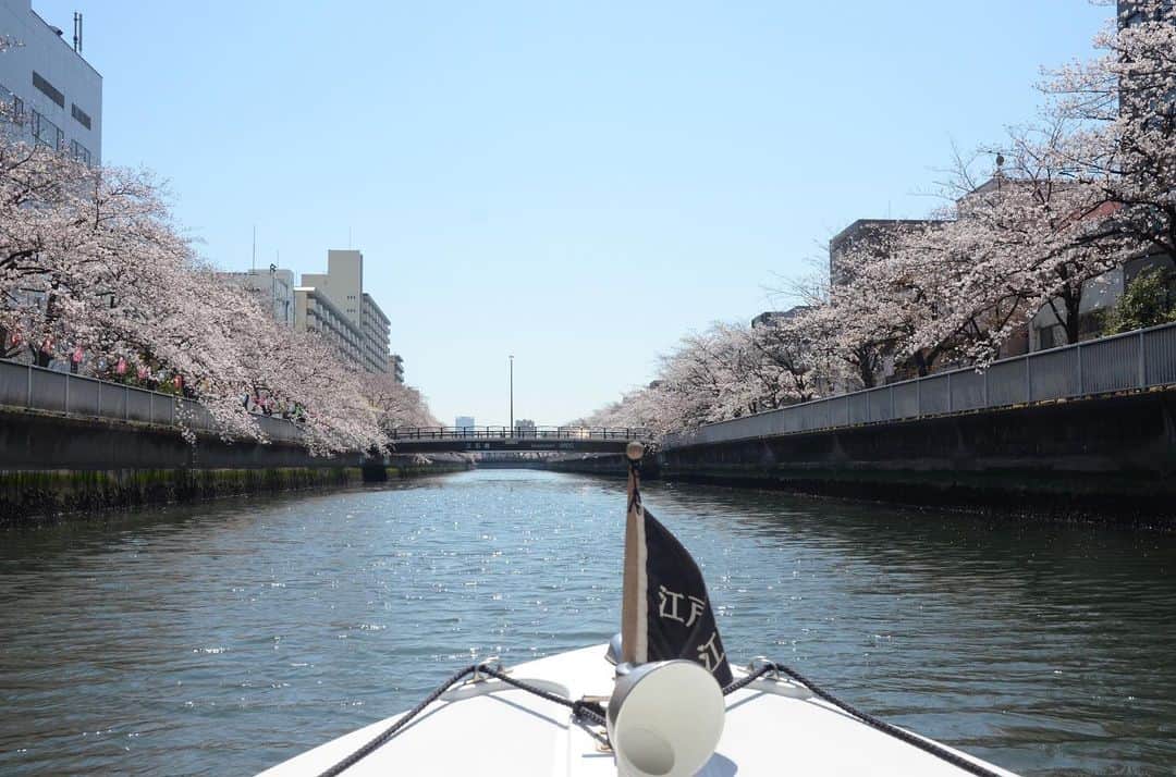 やふさんのインスタグラム写真 - (やふInstagram)「昨日の清澄白河〜日本橋までの花見舟。小名木川や大横川、佃あたりの隅田川を通って日本橋のたもとまで1時間30分。小さな電動ボートなので葉っぱの小舟に乗って漂ってる感覚でした。江戸橋ジャンクションを下から見ると大迫力」4月5日 14時07分 - kyafy