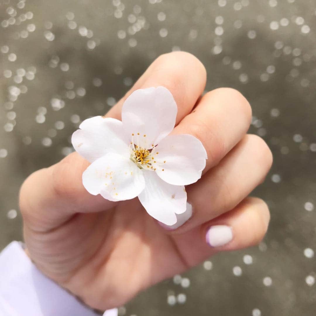森貴美子さんのインスタグラム写真 - (森貴美子Instagram)「友達がしてくれたネイルアート、早速ほめられた🥰  친구가 해줬어 네일 아트 바로 칭찬을 받았다💅♥️ 🌸🌸🌸 #ネイル #ジェルネイル #極細フレンチ #네일아트 #고마워 #일본모델」4月5日 14時28分 - morikimi_morikimi