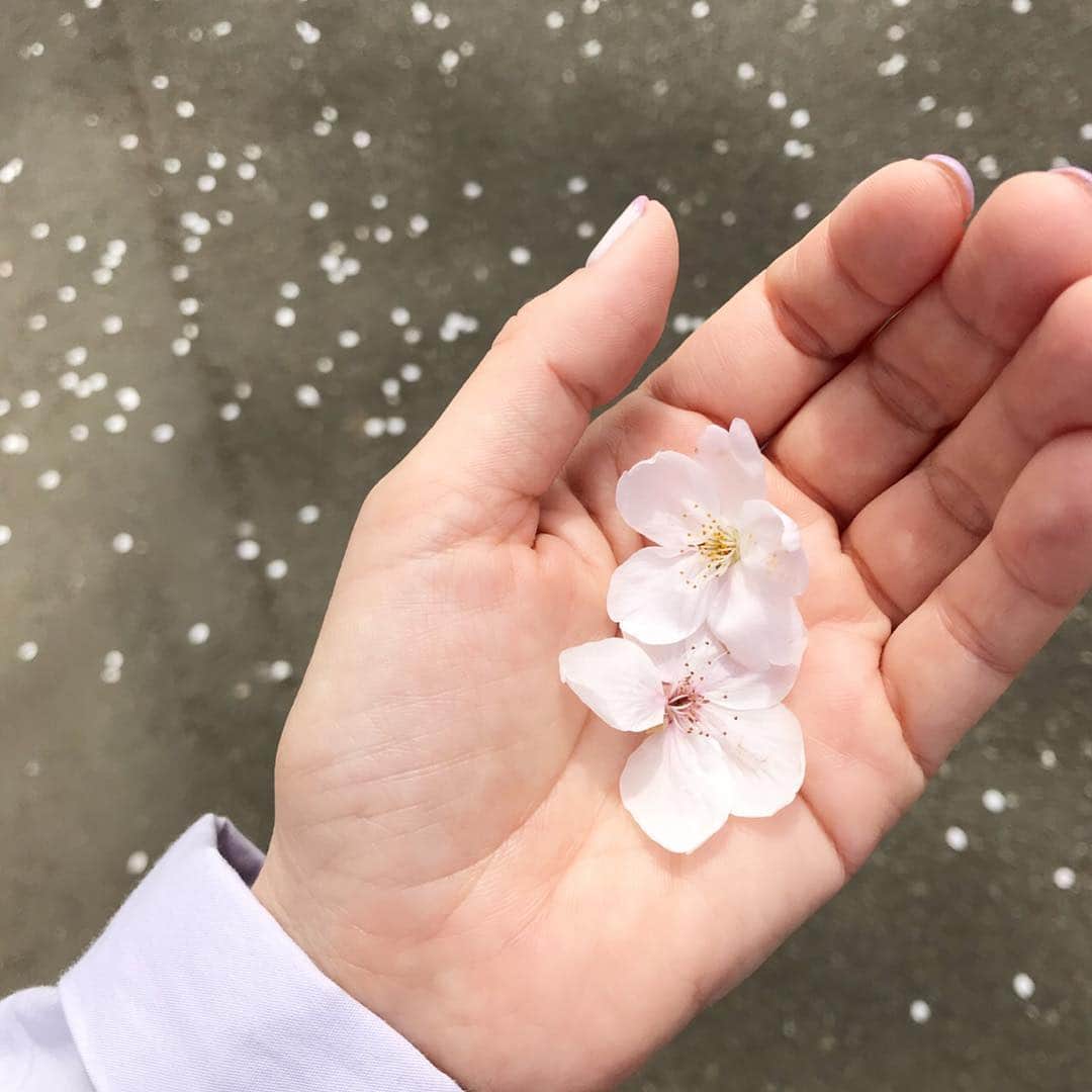 森貴美子さんのインスタグラム写真 - (森貴美子Instagram)「友達がしてくれたネイルアート、早速ほめられた🥰  친구가 해줬어 네일 아트 바로 칭찬을 받았다💅♥️ 🌸🌸🌸 #ネイル #ジェルネイル #極細フレンチ #네일아트 #고마워 #일본모델」4月5日 14時28分 - morikimi_morikimi
