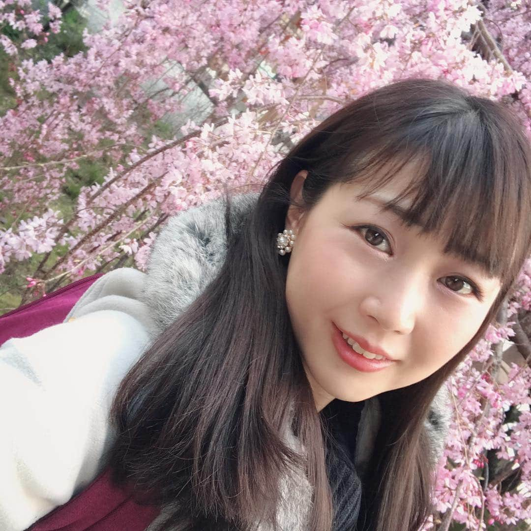 高橋沙織さんのインスタグラム写真 - (高橋沙織Instagram)「お花見。 も一回ゆっくり行きたいな〜  #アルミカン #アルミカン高橋 #枝垂れ桜 #満開 #美しすぎる」4月5日 14時43分 - arumikan_saorin