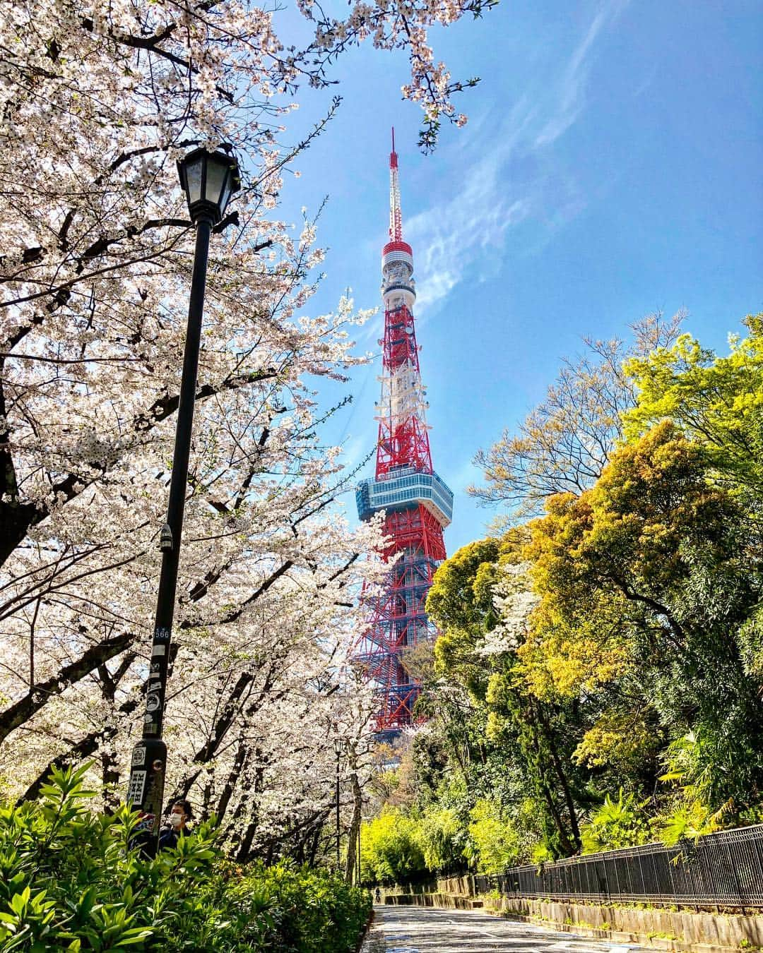 伊藤歩さんのインスタグラム写真 - (伊藤歩Instagram)「Beautiful City Tokyo🗼 * * * そろそろ桜が散ってしまいますね 本当に愛おしい🌸  また逢える時まで 記憶にしっかりとしまっておこう  #tokyo#amazingcity#wonderfulcity#beautifulworld#cherryblossom#sakura#floweroflife#tokyotower#lovejapan#discoverjapan#東京タワー#桜#春#桜パワー#大好きな樹木#平成最後の桜#伊藤歩」4月5日 14時50分 - ayumi__ito