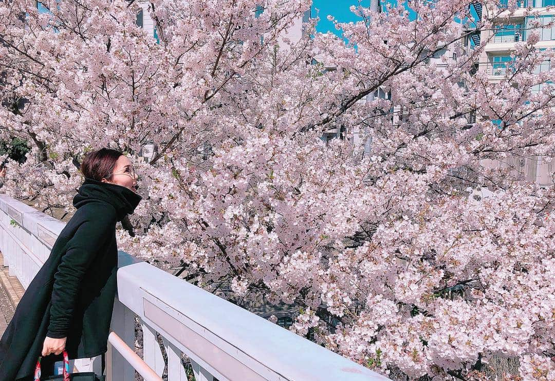 平野ノラさんのインスタグラム写真 - (平野ノラInstagram)「束の間のお花見！ 間に合った🤡きれいきれい🌸🌸🌸🌸🌸🌸🌸🌸🌸🌸🌸🌸🌸🌸🌸🌸🌸🌸🌸🌸🌸🌸🌸 🌸🌸🌸🌸🌸🌸🌸 #桜 #平野ノラ #okバブリー」4月5日 15時01分 - noranoranora1988