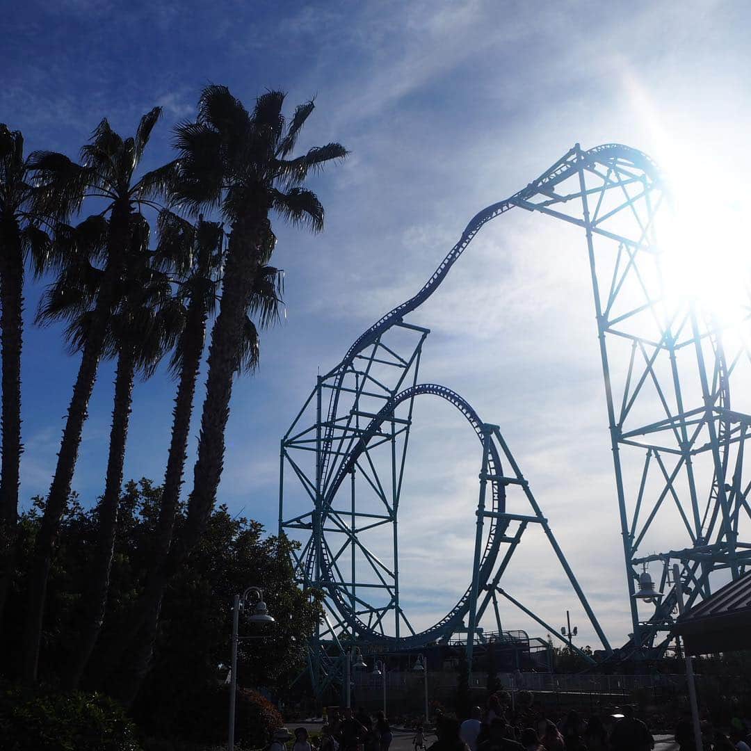 香山ひとみさんのインスタグラム写真 - (香山ひとみInstagram)「#アメリカ生活国内旅行編 San Diego . トウダイモトクラシ🐢🤣🐢 . . ちなみに、シーワールドは、 水族館の要素だけでなく、 プレイグラウンドや、絶叫系なども充実！ . 絶叫系は、 「ライダースイッチ」という子連れの大人が入れ替わりで乗れるシステムもあったので、 一番怖そうなジェットコースター（最後の写真）に乗りました。 . 富士急未経験者の弱小コメントですが、 生きてきた中で一番怖かった🤣 ほんっとに終わった後も降りられなくて、腰が抜けるとはこういうことかを体感😂 シーワールド恐るべし。 . #富士急には行かないと決めた日 . #アメリカ生活国内旅行編 #シーワールドサンディエゴ #海亀 #🐢 #サンディエゴ旅行 #Seaworldsandiego #seaturtle #sandiegotrip . . #海外生活 #アメリカ生活 #子連れ旅行 #子連れ海外旅行 #カリフォルニア州  #americalife #Californiallife」4月5日 15時08分 - hitomi.k24