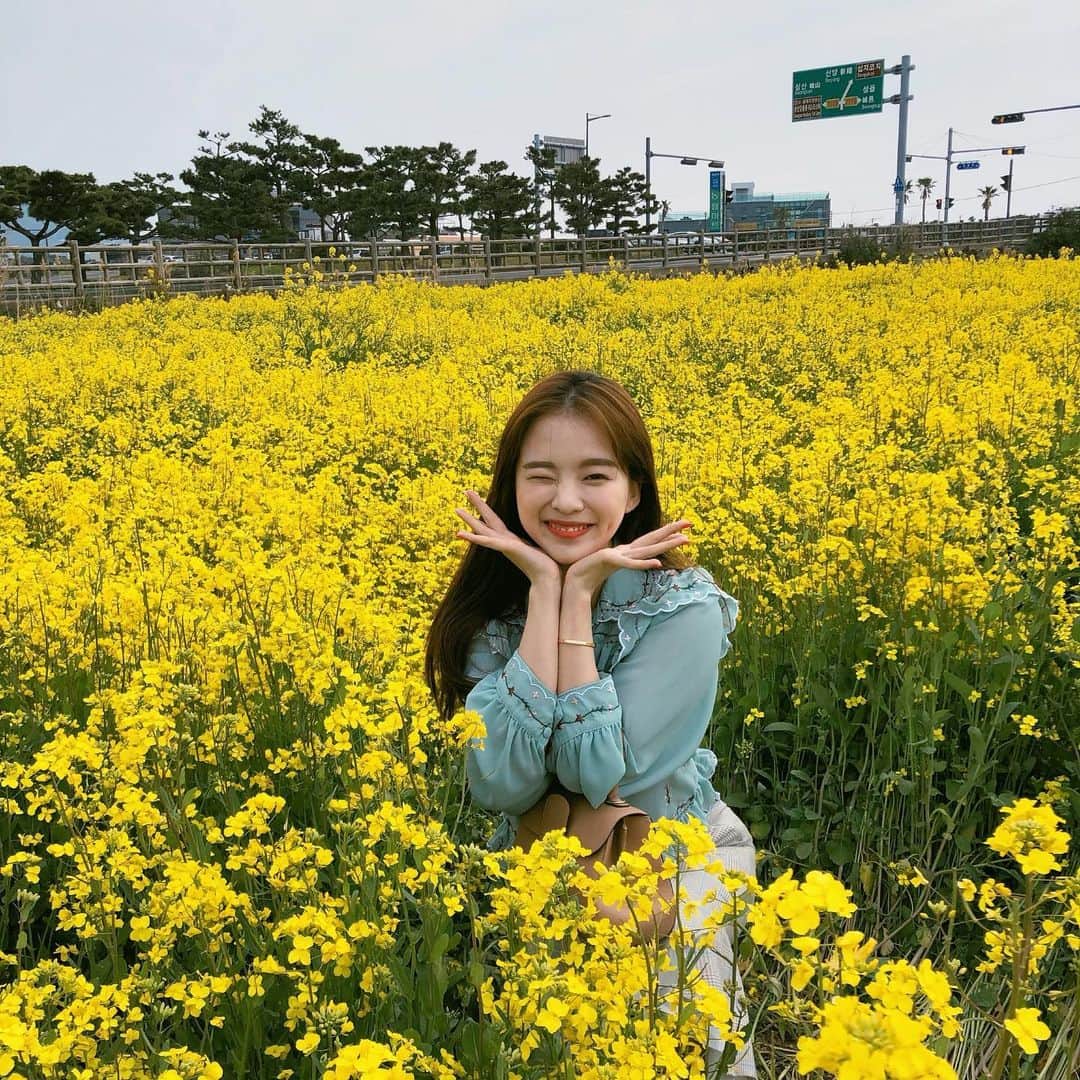 ハヌルさんのインスタグラム写真 - (ハヌルInstagram)「🌼🌸」4月5日 15時14分 - haneulina