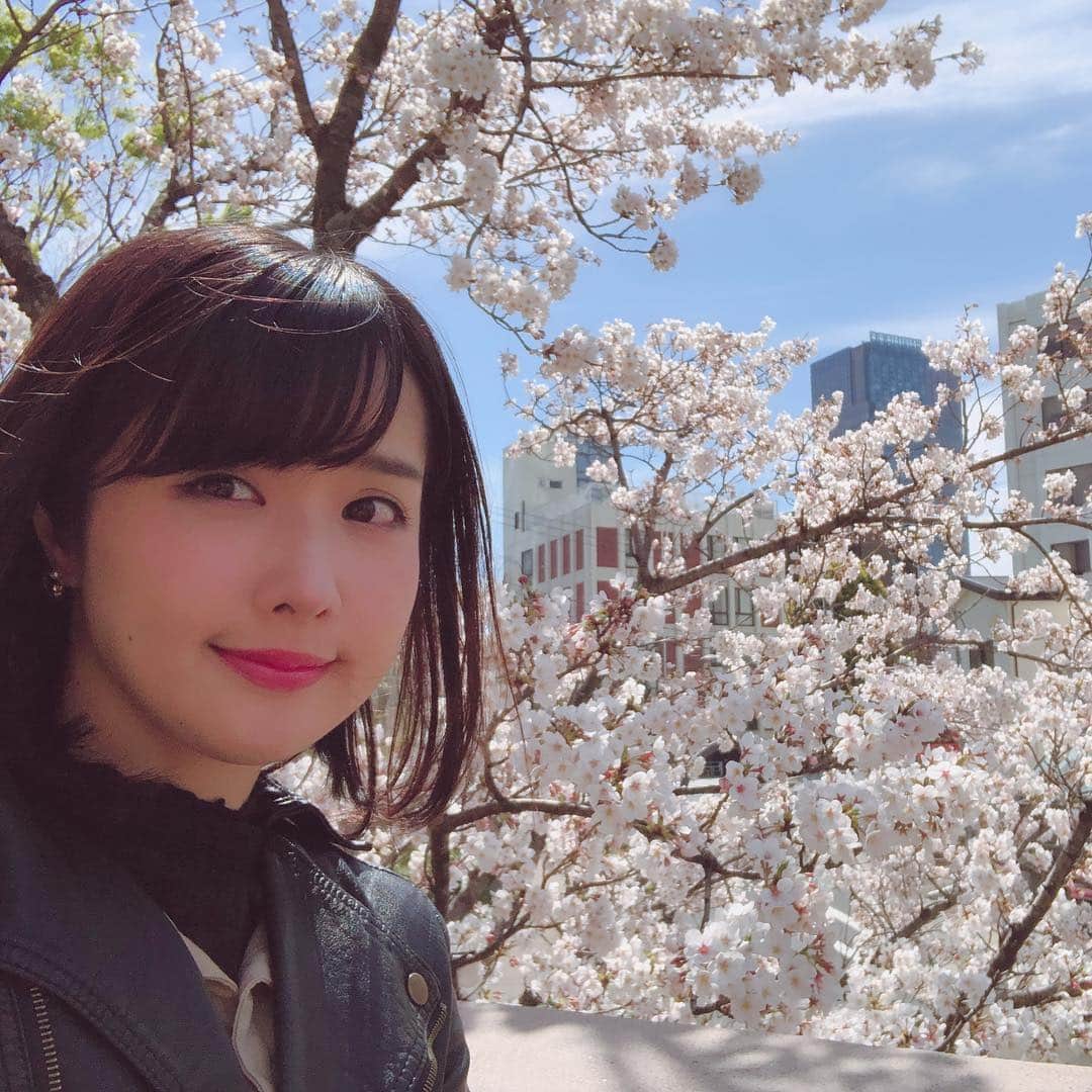 髙橋明日香さんのインスタグラム写真 - (髙橋明日香Instagram)「ポカポカの天気。 きれいな桜。 いい出逢いもありました。 “ご縁”は大切にしないとなぁ。  今日はとってもいい気分だ(*´◡｀​*) #桜 #cherryblossom #春が好き #ゆっくり花見したい」4月5日 15時35分 - asuka_takahashi1019