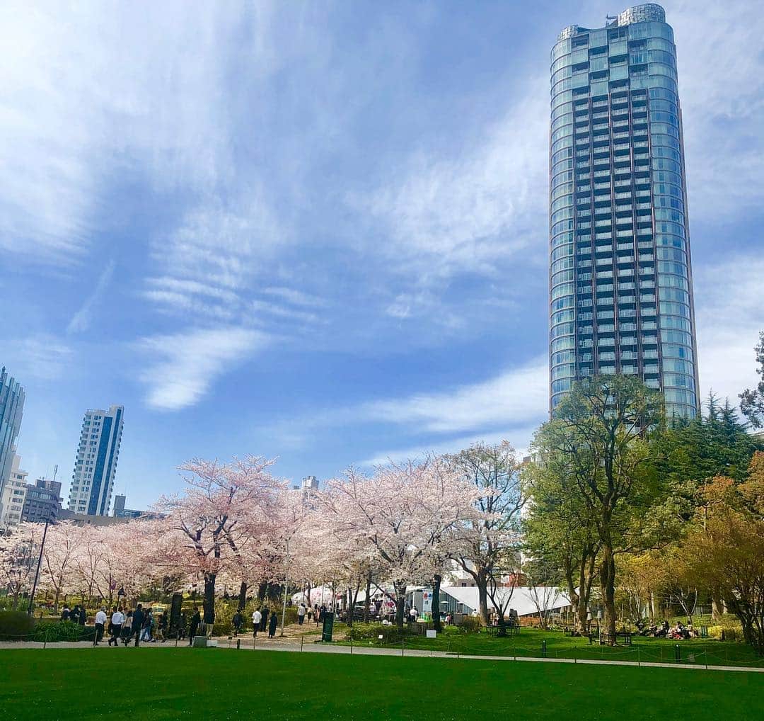 穂川果音さんのインスタグラム写真 - (穂川果音Instagram)「今日は風もあるため、桜が綺麗に舞っていたり🌸ポカポカ日和なので、更にテンションが上がりました♪ 関東地方は、今週末まではお花見ができそうですよー^_^  #お散歩 #お花見 #ミッドタウン六本木 #六本木 #roppongi #sakura #hanami #instadaily #instagram #instalike #instapic #portrait」4月5日 15時38分 - hokawakanonn