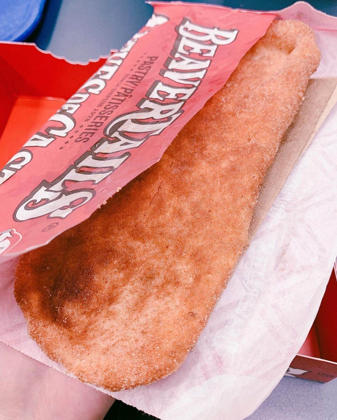 平野綾さんのインスタグラム写真 - (平野綾Instagram)「Quebecに来たら絶対にビーバーテイルを食べてほしい！と言われたので、﻿ オススメのビーバーテイルのお店に行ってみました💕﻿ ﻿ ビーバーテイルってなんぞや？﻿ って話ですが、ビーバーの尻尾の形に似た、﻿ 簡単に言うと……砂糖がいっっっぱいかかった平べったい揚げパンです‼︎﻿ ﻿ サクサクで美味しいΣ('◉⌓◉’)✨﻿ 油と砂糖凄いのに、揚げパンより食べやすい‼︎﻿ トッピングは色々できますが、一番スタンダードなものをいただきました💗﻿ ﻿ おじさんが照れ屋さんでめっちゃ可愛かった❤️﻿ ﻿ ﻿ ﻿ QUEUES DE CASTOR﻿ PATISSERIES﻿ DEPUIS 1978﻿ #quebecdecastor ﻿ ﻿ #canada #quebec #quebeccity﻿ #nadeshicon #nadeshicon2019﻿ #beavertails  #ayahirano #平野綾」4月5日 15時40分 - a_ya.hirano