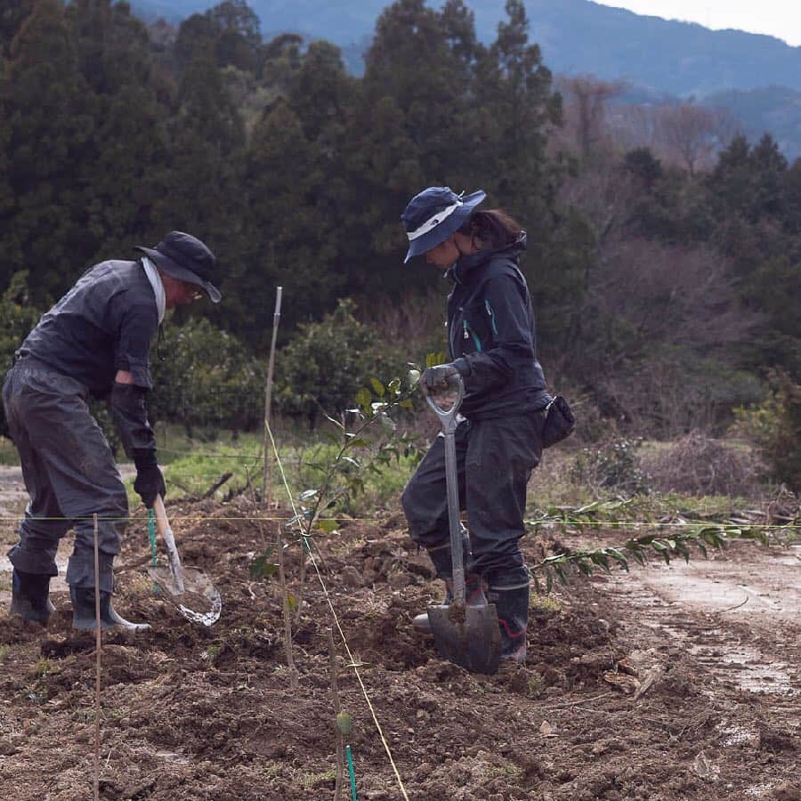 松山油脂さんのインスタグラム写真 - (松山油脂Instagram)「＼「徳島プロジェクト」進行中／ 先日、徳島県の畑に柚子の苗を植えました。実がなるまで３年、食べれるほどになるまでは５年かかるといわれています。これからの成長が楽しみです。 ※「徳島プロジェクト」とは、松山油脂が「化粧品として肌に有用な植物由来成分について研究し、その植物の栽培と化粧品原料への展開を進める」ため、その一環として新たな工場の建設を進めているプロジェクトです。  #松山油脂 #matsuyama #yuzu #柚子 #ウオッシュアンドケア #washandcare #japan #madeinjapan #徳島 #佐那河内村」4月5日 15時52分 - matsuyama_official