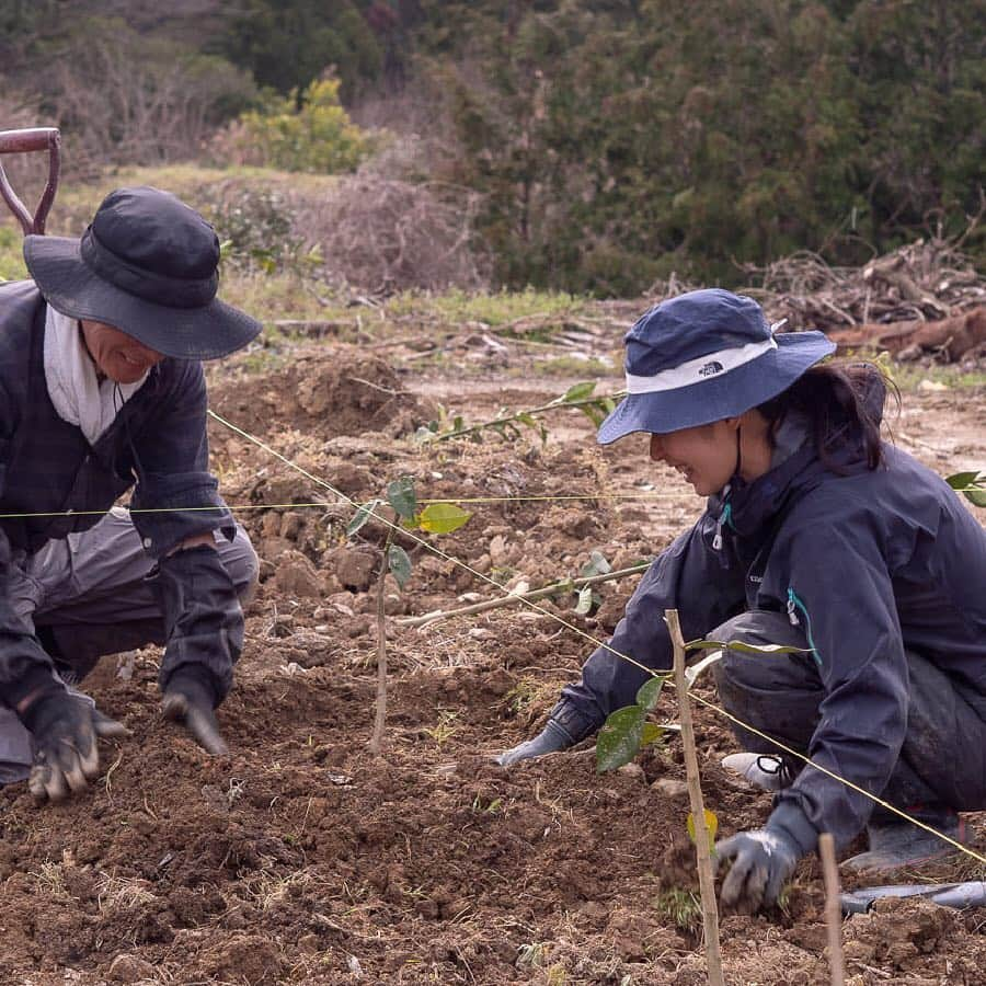 松山油脂さんのインスタグラム写真 - (松山油脂Instagram)「＼「徳島プロジェクト」進行中／ 先日、徳島県の畑に柚子の苗を植えました。実がなるまで３年、食べれるほどになるまでは５年かかるといわれています。これからの成長が楽しみです。 ※「徳島プロジェクト」とは、松山油脂が「化粧品として肌に有用な植物由来成分について研究し、その植物の栽培と化粧品原料への展開を進める」ため、その一環として新たな工場の建設を進めているプロジェクトです。  #松山油脂 #matsuyama #yuzu #柚子 #ウオッシュアンドケア #washandcare #japan #madeinjapan #徳島 #佐那河内村」4月5日 15時52分 - matsuyama_official