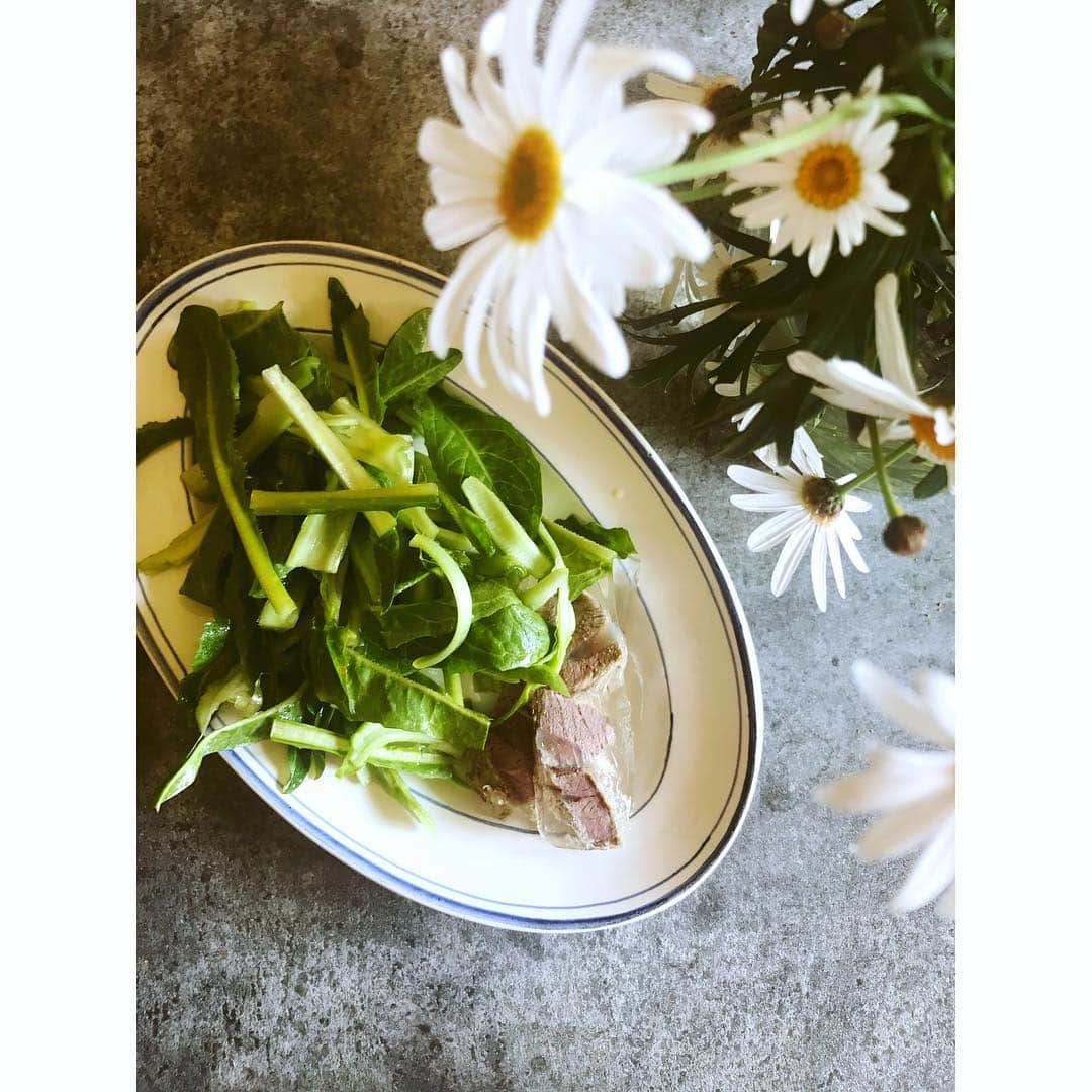 冷水 希三子さんのインスタグラム写真 - (冷水 希三子Instagram)「牛スネをじっくり蒸したスープと一緒に煮こごり寄せ。  と、プンタレッラのサラダ。」4月5日 15時45分 - kincocyan