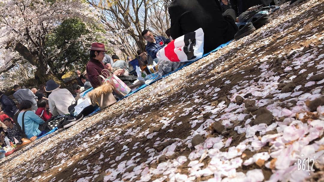 小野さゆりさんのインスタグラム写真 - (小野さゆりInstagram)「おはなみ  #桜 #お花見 #お花見コーデ」4月5日 15時48分 - sayuriono0301