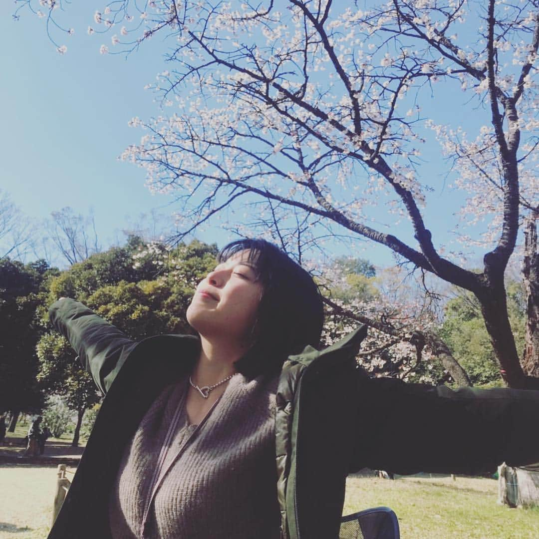 福岡晃子さんのインスタグラム写真 - (福岡晃子Instagram)「お花見いきました🌸 風邪くらいました🤧 #こんなに厚着していったのに」4月5日 15時51分 - akikofukuoka_oluyo