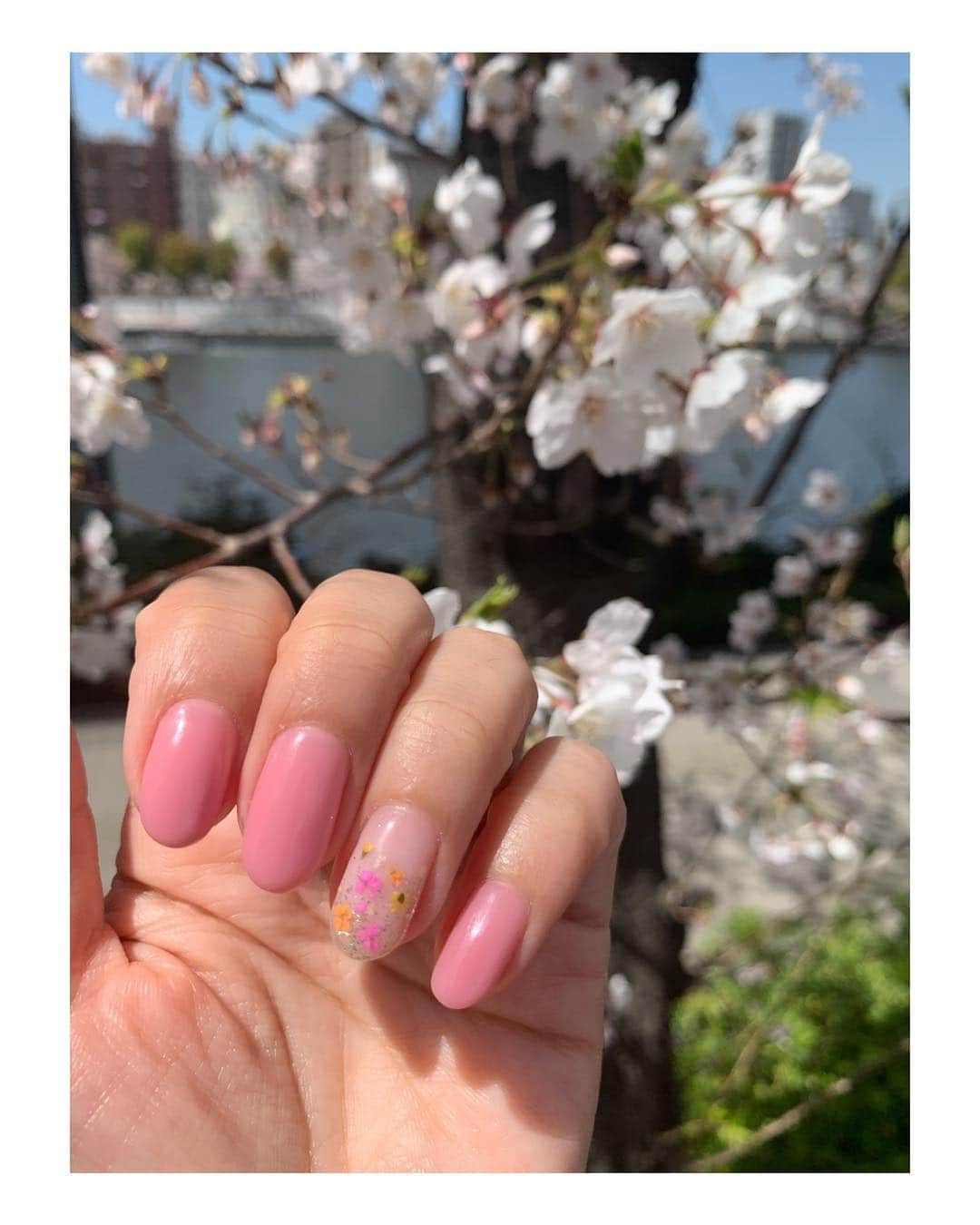 大久保涼香さんのインスタグラム写真 - (大久保涼香Instagram)「New nails🌸🌸 春爛漫♡ ********** #nailchange #springnails #nails #pinknails #spring #simplenails #flowernails #instanails #ilovethisdesign #socute #penelopesis #omotesando #春ネイル #お花ネイル #ピンクネイル #私にしては珍しいデザイン #ネイル #ペネロピシス #マツエクも同時に #話は尽きない #引っ越ししたくなった #きょうはお花見日和 #あたたかい  #さくら #美しい」4月5日 16時09分 - sayaka_okubo