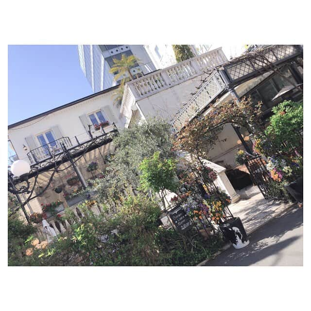 早乙女わかばさんのインスタグラム写真 - (早乙女わかばInstagram)「.﻿ あっこと花梨に会いました☺️💓﻿ ﻿ 花梨は今ドイツを拠点にカメラの仕事をしていますが🇩🇪1月振りに会えたので、なんだか海外にいる感じがしません😆✨﻿ ﻿ あっこは2週間振り（笑）﻿ 2週間前にはOGお花見会🌸をしました😚﻿ 桜がまだ咲いていなかったので、普通のランチになりましたが…😂﻿ ﻿ 花梨は受験生の時から、あっこは子供アテネの時からの仲なので、同期の中でも付き合いが長いです💓﻿ ﻿ 2人に会えて、とても楽しい時間でした😁✨﻿ ﻿ ⭐︎お店がとってもお洒落だったのでオススメ⭐︎﻿ 『表参道バンブー』﻿ ﻿ *･゜ﾟ･*:.｡..｡.:*･･*:.｡. .｡.:*･゜ﾟ･*﻿ お弁当の投稿に沢山コメント下さり有難うございました❤️褒められるとやる気が出ます（笑）﻿ また、お弁当投稿もあげたいと思います😊﻿ ﻿ #同期ランチ﻿ #平成3人娘﻿ #寮外生﻿ #関西人﻿ #笑いが絶えない」4月5日 16時18分 - s_wakaba.94