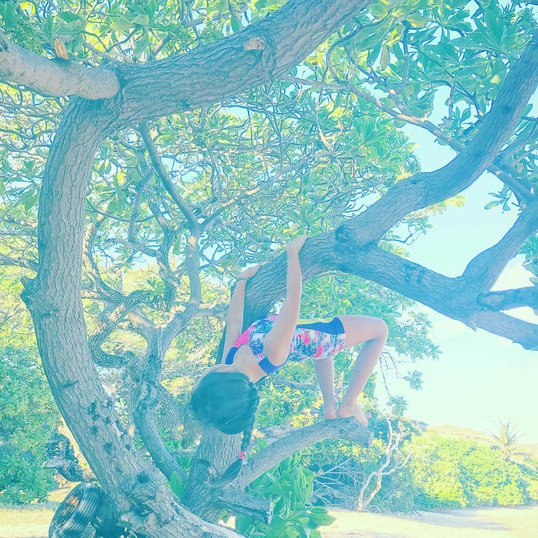 のインスタグラム：「Your Life is Beautiful  あなたの人生は美しい。  #island #earth #beach #ocean #enlightenment #eternity #light #pink #life #live ##surf #miyakoyamazaki #山崎美弥子」