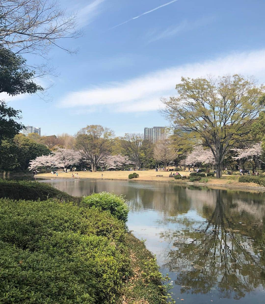 庄司ゆうこさんのインスタグラム写真 - (庄司ゆうこInstagram)「今日はお花見がてら皇居一周ウォーキングしてきたよ🤗 そしたらバッタリお友達のなっちゃんに会ってびっくり‼️去年一緒にお花見した以来で約一年ぶりの再会✨✨ 可愛い娘さんと息子さんにも癒されました^ ^ それにしても皇居周りは気の流れが最高にいいですね🤗 ポカポカ天気で気持ちよかったぁー(^^) たくさん歩いたのでパレスホテルのテラスでランチ❣️オイルベースのパスタが美味しかったぁー🤗✨ #皇居#ウォーキング#1周5km#1万歩達成#毎日お花見#桜#春#spring#今年は長い#ポカポカ日和#妊娠39週#臨月#まだまだ#産まれる気配なし#のんびり屋さん#マイペース赤ちゃん#アクティブ妊婦#マタニティライフ満喫中#マタニティコーデ#スウィートマミー#平成最後のお花見」4月5日 16時25分 - yuko.shoji