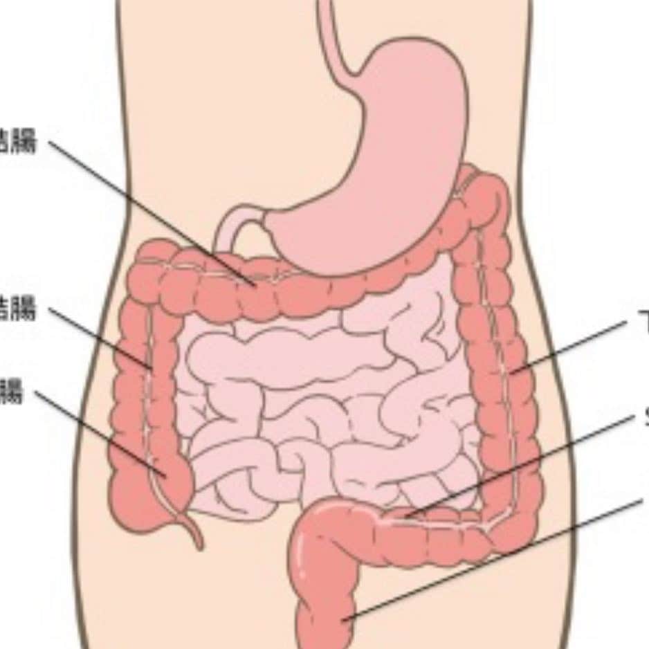山本栄治さんのインスタグラム写真 - (山本栄治Instagram)「人間ドッグ終了  胃と大腸のなか  現在  すっからかーん。  人生初  何食べよかな？  やはり  お粥かな‼️‼️‼️👍」4月5日 16時34分 - eiji7115
