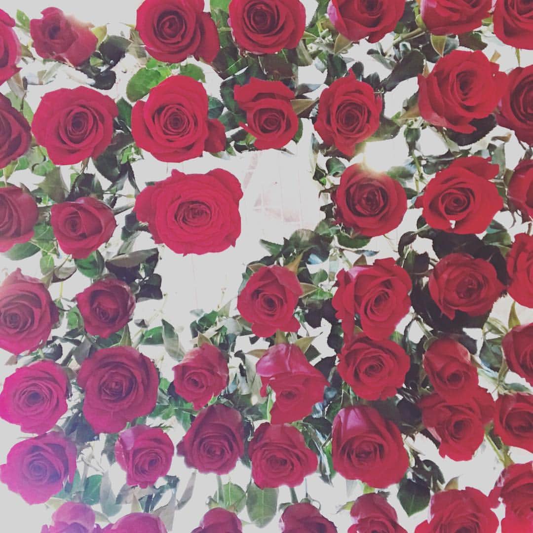 日高薫さんのインスタグラム写真 - (日高薫Instagram)「ローラメルシエの新作発表会へ❤️☺️✨ 7/3に発売される💄#ローラメルシエ  #ルーズエッセンシャルシルキークリームリップスティック#💄 私はREDの中から24番を選んでいただきました😌❤️ 軽やかなつけ心地に濃密な発色と潤い に魅了されました😊💗 @lauramercier  #ローラメルシエ #新作発表会 ##makeup #make #lip #lipstick #beauty #美容 #美 #instagood #instabeauty」4月5日 16時34分 - hidaka_kaoru_official