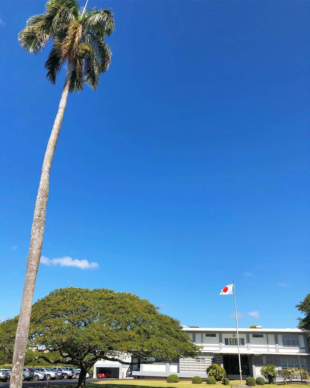 のインスタグラム：「ハワイにある日本領事館🇯🇵は本当に親切！色々な国の日本大使館や領事館に行ったけどハワイの日本領事館が一番！と私は思っています。 本当の意味で困った時の駆け込み寺。 いつもどうも有難うございます！🙏🏻 しっかしヤシの木と日の丸が合うんだなぁ。🌴+🇯🇵 = ❤️ #ハワイの日本領事館🇯🇵」