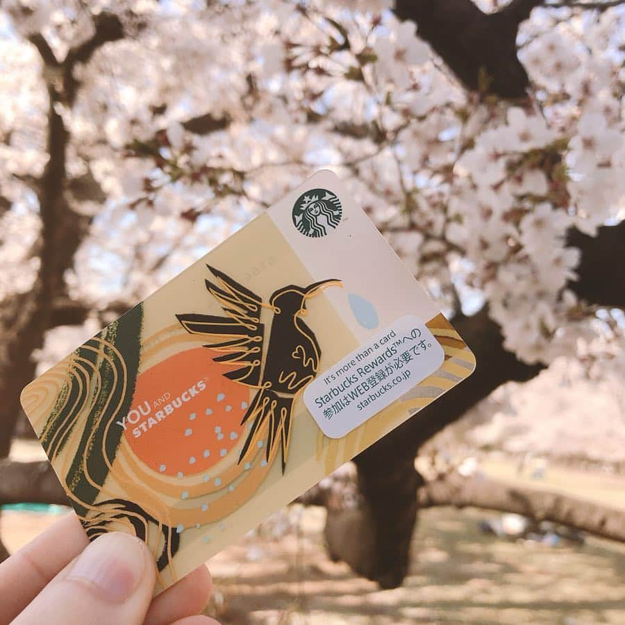 三歓四音さんのインスタグラム写真 - (三歓四音Instagram)「#starbucks #スターバックス #スタバ #ハミングバードプログラム #桜 #春 #今年もこの季節が来ましたね」4月5日 16時45分 - u_sankanshion