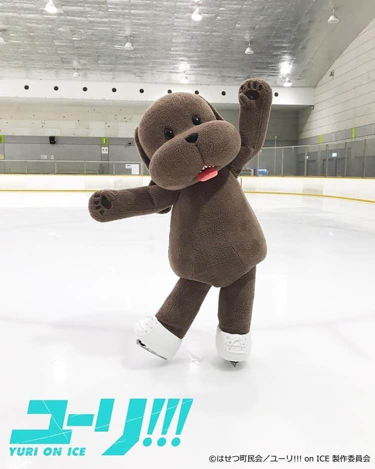 ユーリ!!! on ICEのインスタグラム：「【🔥ユーリ!!! on ICE が #国別対抗戦2019 を全力応援🔥】 さらになんと #マッカチン がスケーティングで出演決定！ 競技と競技の間の製氷時間の前後など、 #ゴーちゃん。とのスケーティングに挑戦🔥　これから、マッカチン練習の様子も公開していきます!!!👀✨ https://yurionice.com/news/detail.php?id=1071588  #yurionice」