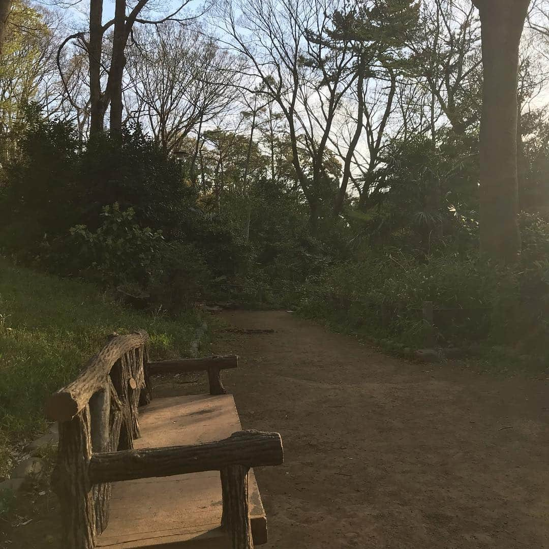 まっく赤坂見附のインスタグラム：「じじい公園で癒される  #公園 #あと1時間いられる」