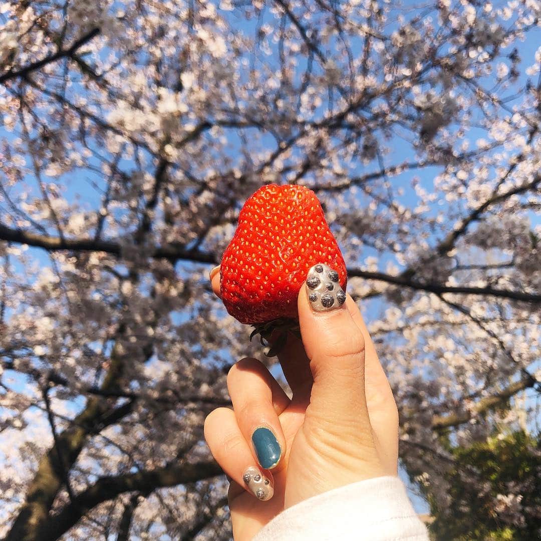 高橋野乃子さんのインスタグラム写真 - (高橋野乃子Instagram)「． 桜をみて哀しくなる感情も どんどん薄れていっちゃうのかな☺︎」4月5日 17時14分 - _nonstyle_