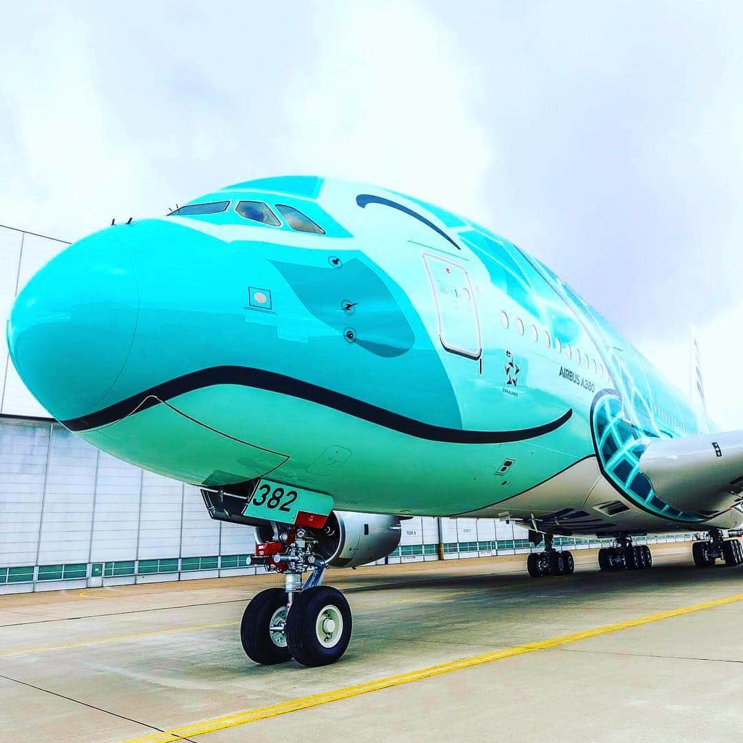 ANAのインスタグラム：「Smile🌈  #ソラマニ_ヒコーキ #a380 #フライングホヌ #2号機 #お披露目 #エメラルドグリーン #ハワイカラー #海 #わくわく #7月1日 #就航 #ハワイ #ホノルル #待ち遠しい #flyinghonu #honu #hawaii #color #sea #honolulu #airplane #anaairplane #fly #japan #emeraldgreen  ANAの飛行機は「#ソラマニ_ヒコーキ」をつけて投稿してね⭐️インスタやANAの各メディアでご紹介していきます💙」