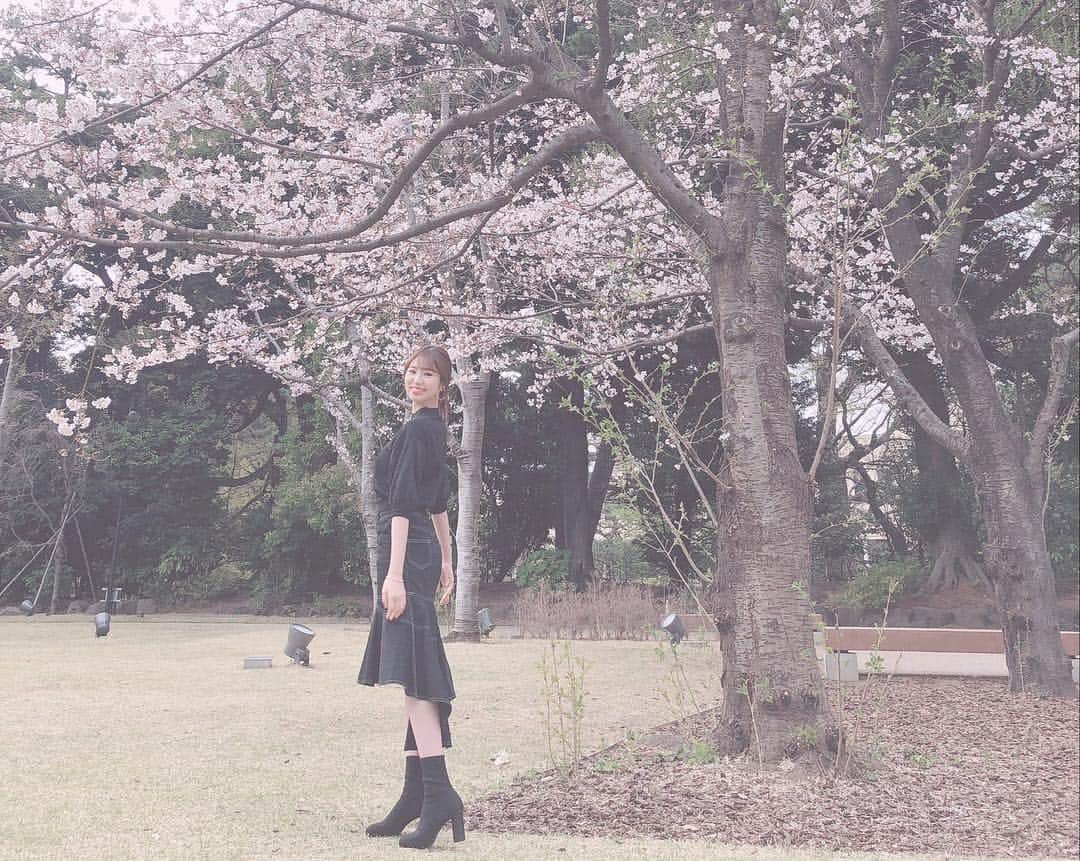 加田穂乃華さんのインスタグラム写真 - (加田穂乃華Instagram)「お花見🌸🍡 #桜 #cherryblossom #japan」4月5日 17時25分 - honoka_kada