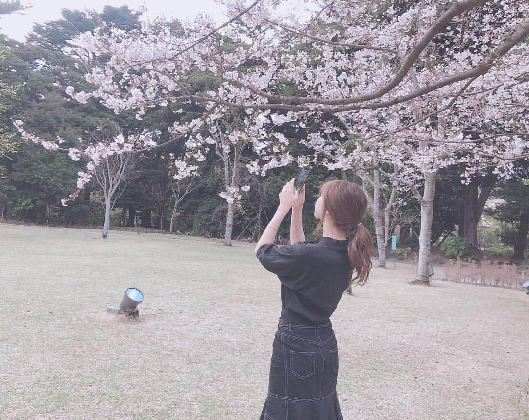 加田穂乃華さんのインスタグラム写真 - (加田穂乃華Instagram)「お花見🌸🍡 #桜 #cherryblossom #japan」4月5日 17時25分 - honoka_kada