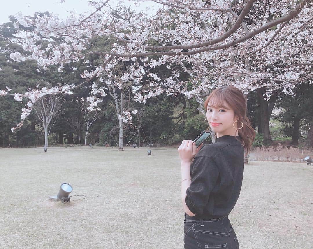 加田穂乃華のインスタグラム：「お花見🌸🍡 #桜 #cherryblossom #japan」
