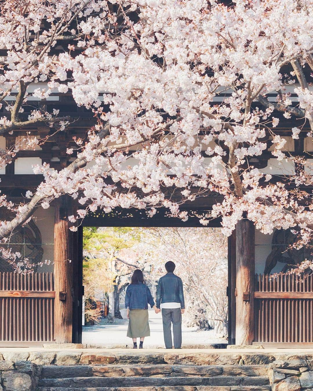 Visit Wakayamaさんのインスタグラム写真 - (Visit WakayamaInstagram)「. Walk into the new season holding hands. #visitwakayama #chohoji 📸: @rin_wakayama」4月5日 18時00分 - visitwakayama
