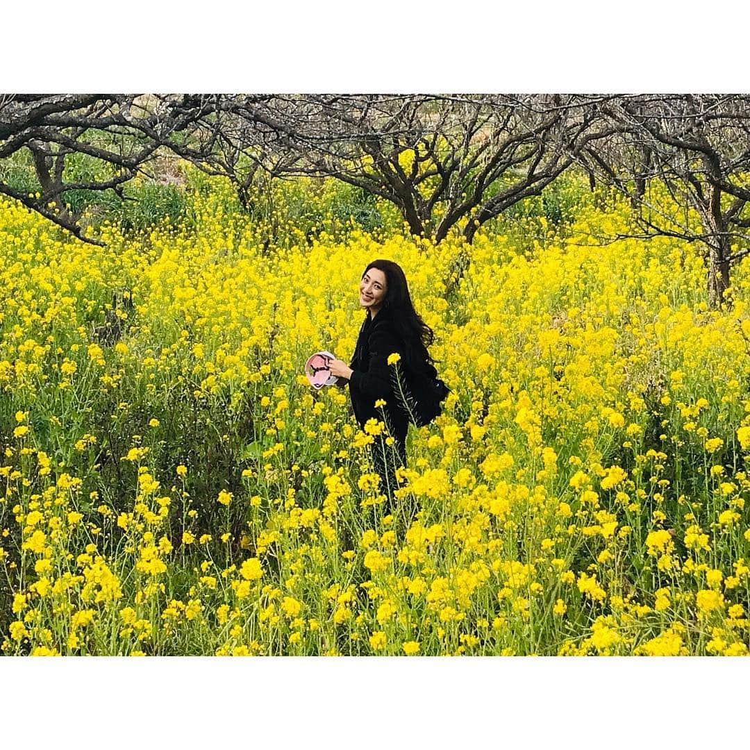 文音さんのインスタグラム写真 - (文音Instagram)「#spring #はるいちばん」4月5日 18時02分 - ayanestagram_official
