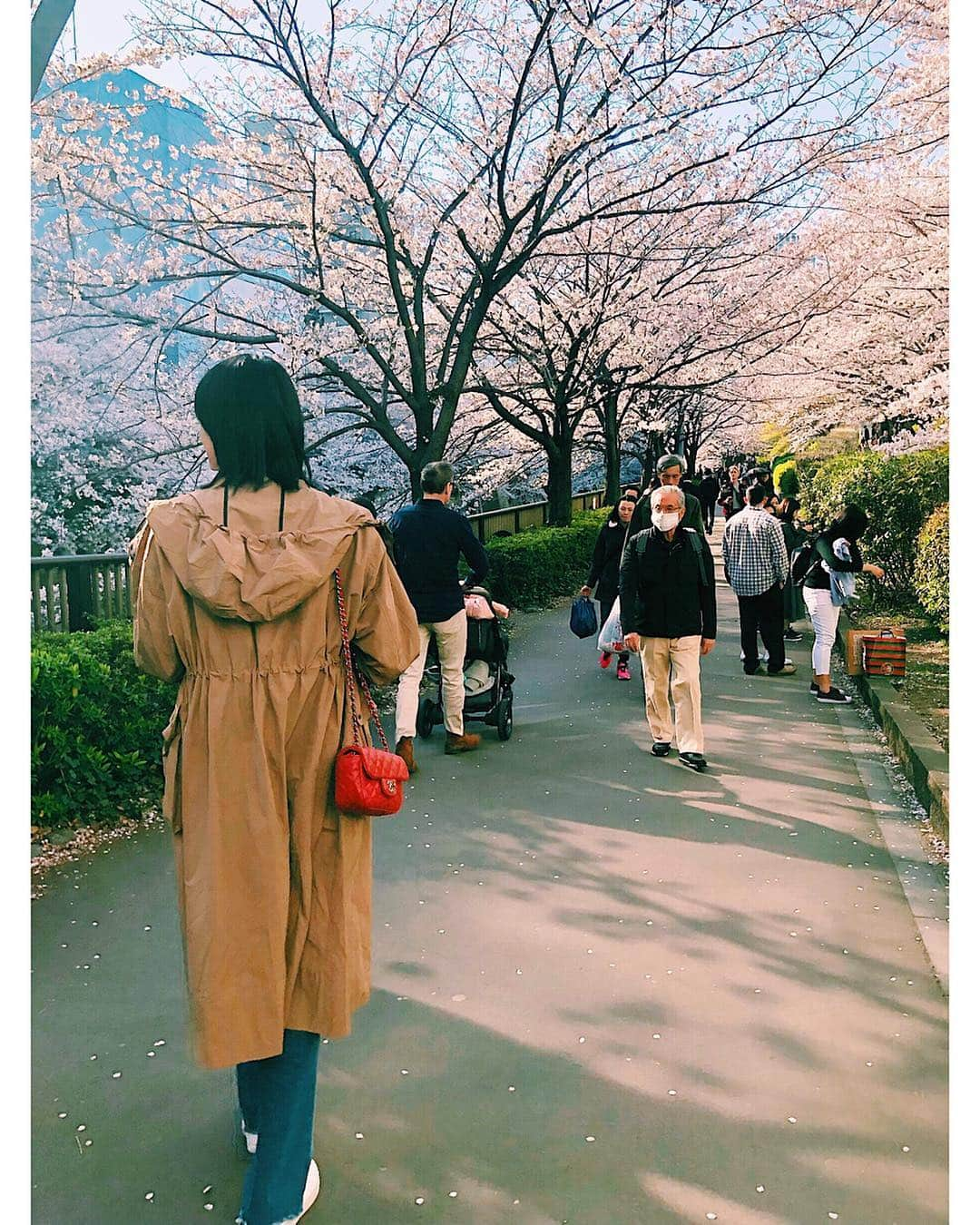 新井貴子さんのインスタグラム写真 - (新井貴子Instagram)「So happy to see SAKURA in Japan😆🌸💗🌸💗 . ずっと行ってみたかったお花見スポットで満開の桜を観られてラッキーだったー！✨桜の季節になると日本にある桜の木の多さに改めて驚かされる🌸」4月5日 18時07分 - kikoarai