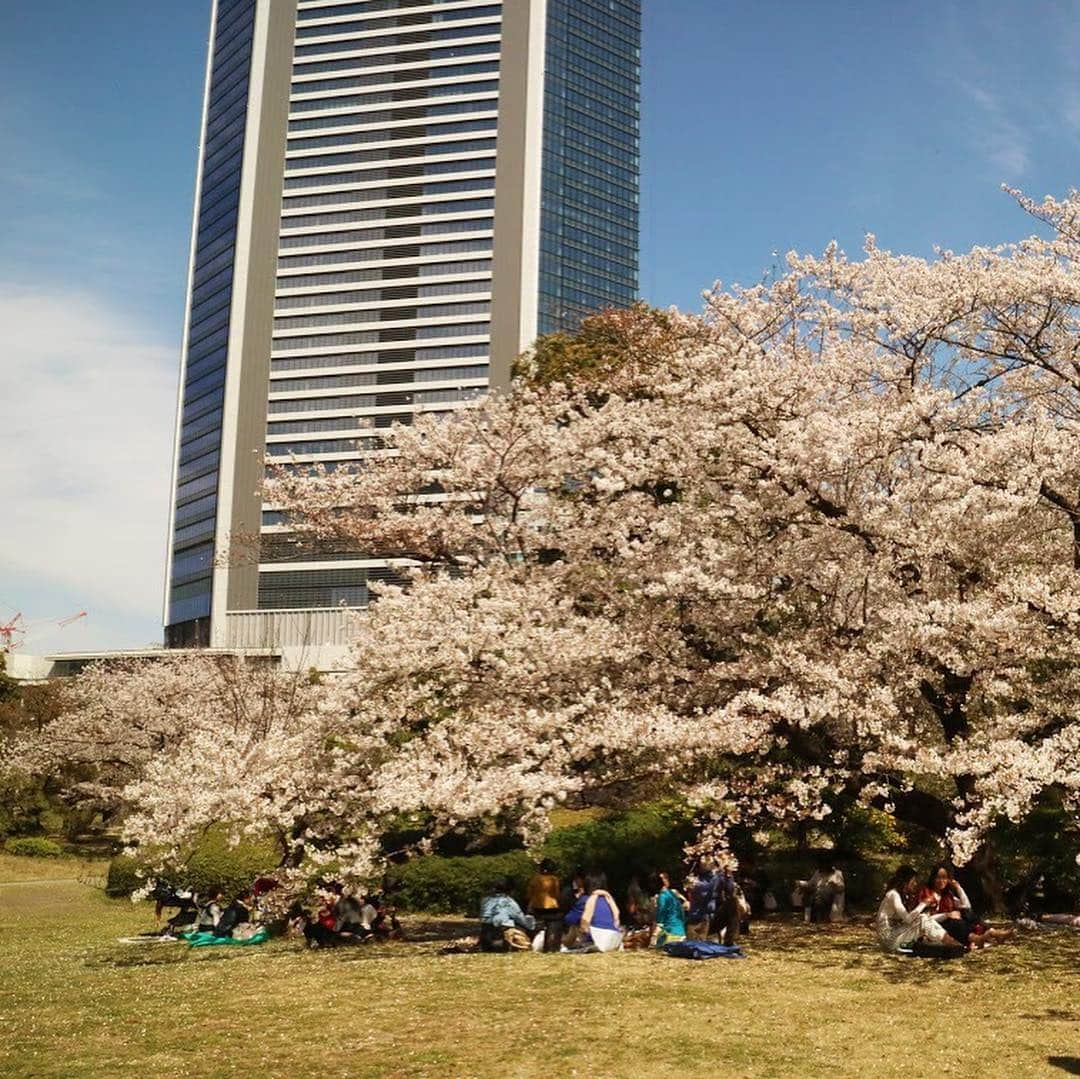 km観光タクシーさんのインスタグラム写真 - (km観光タクシーInstagram)「Kyu Shiba Rikyu Gardens #tokyosightseeing #tokyodrive #tokyolife #tokyonow #東京観光タクシー #kmtaxi #thingstodo #thingstodointokyo #rikugien #thingstodoinjapan #tokyotourism #桜 #kmtaxi #tokyotourism #tokyotour #kyushibarikyugardens」4月5日 18時15分 - tokyodrive.jp