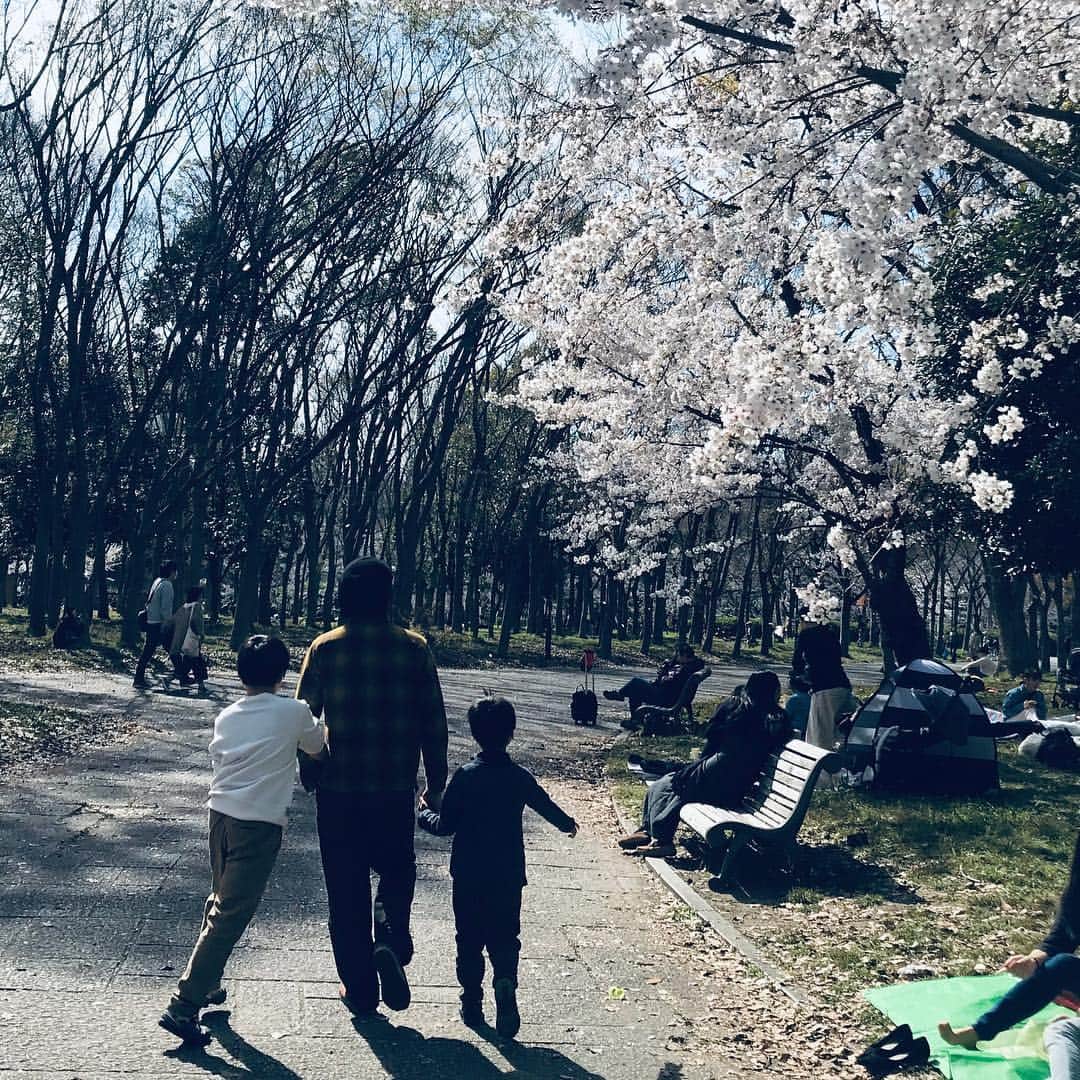 綺華れいさんのインスタグラム写真 - (綺華れいInstagram)「大阪城へ家族でお花見🌸  長男撮影の写真が1番映える件。(*-∀-*) 大阪城公園をぷらぷら歩きながら 4月16.17日と5月25日の公演で立つ クールジャパンパーク大阪のホールも見てきたよ⋆°｡✩ #花より団子な我が家 #パパっ子兄弟 #大阪城 #大阪城公園 #クールジャパンパーク大阪 #花見 #ソメイヨシノ #ナポレオン #光と影 #観に来てね(*´罒`*)ﾆｯ #綺華れい  #宝塚og  #宝塚歌劇団  #美魔女コンテスト #WEB賞 #ジュエリーバッグ #ジュエリーバッグ認定講師」4月5日 18時18分 - rei_ayaka