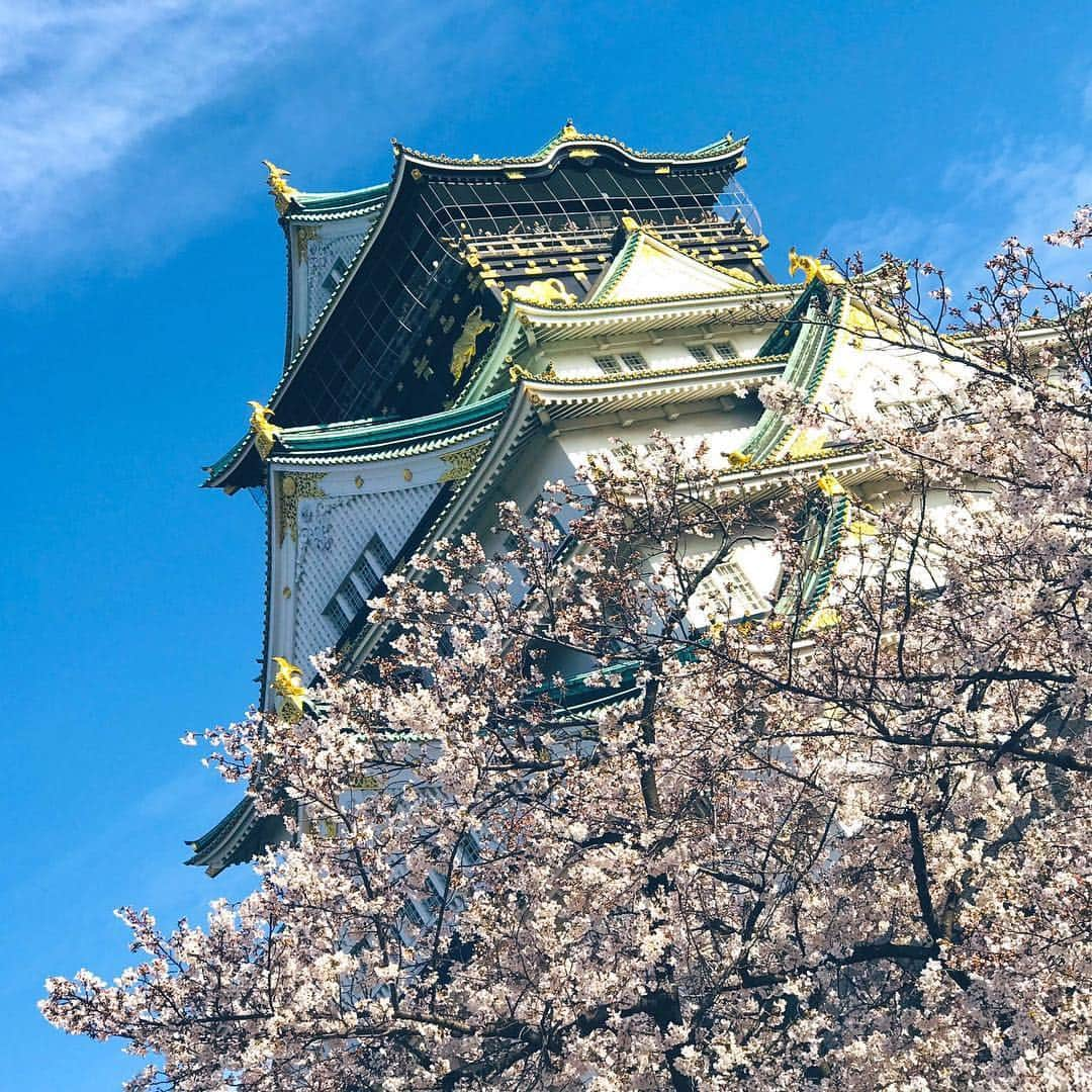 綺華れいさんのインスタグラム写真 - (綺華れいInstagram)「大阪城へ家族でお花見🌸  長男撮影の写真が1番映える件。(*-∀-*) 大阪城公園をぷらぷら歩きながら 4月16.17日と5月25日の公演で立つ クールジャパンパーク大阪のホールも見てきたよ⋆°｡✩ #花より団子な我が家 #パパっ子兄弟 #大阪城 #大阪城公園 #クールジャパンパーク大阪 #花見 #ソメイヨシノ #ナポレオン #光と影 #観に来てね(*´罒`*)ﾆｯ #綺華れい  #宝塚og  #宝塚歌劇団  #美魔女コンテスト #WEB賞 #ジュエリーバッグ #ジュエリーバッグ認定講師」4月5日 18時18分 - rei_ayaka