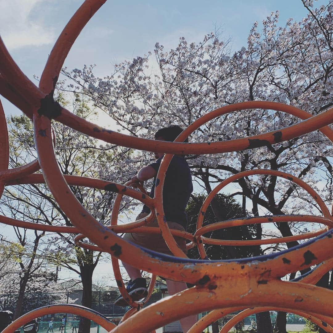 クリス智子さんのインスタグラム写真 - (クリス智子Instagram)「Sakura 2019.  通りがかった公園、 桜があまりにきれいで、立ち寄って、少し遊びました。 公園で、二人で遊ぶの、久しぶり。 小学生になってから、ブランコ背中押したの、 初めてかも。 あたりまえなんだけど、 本当に、大きくなっていくのだなぁ。」4月5日 18時28分 - chris_tomoko